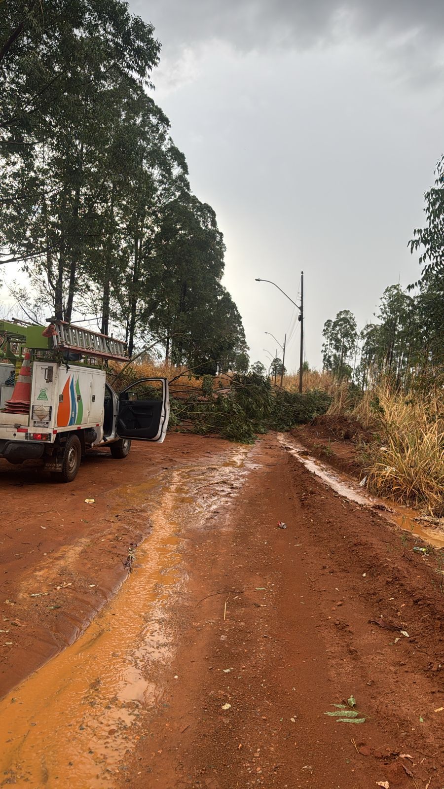 Temporal no DF danifica rede elétrica e mobiliza reforço operacional da Neoenergia